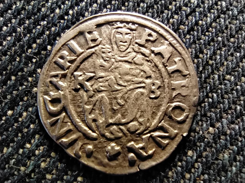 I. Miksa (1564-1576) .500 ez&uuml;st 1 D&eacute;n&aacute;r &Eacute;H766