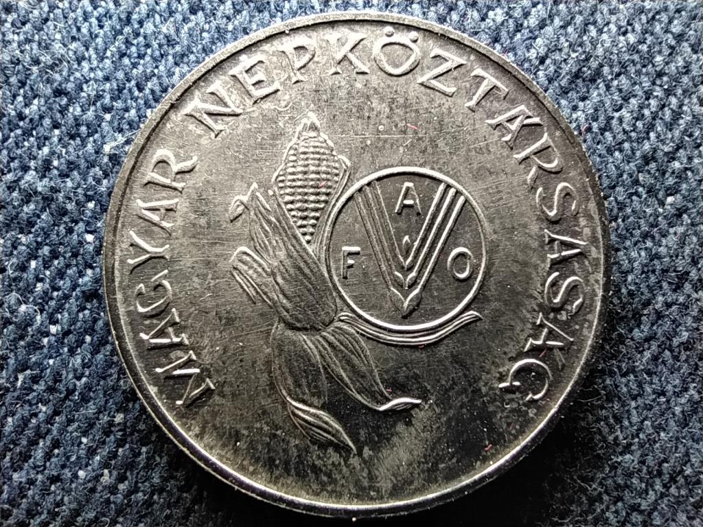 FAO 5 Forint