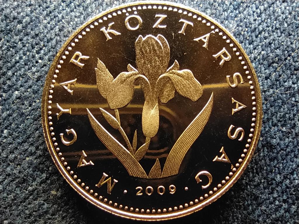 Harmadik K&ouml;zt&aacute;rsas&aacute;g (1989-napjainkig) 20 Forint