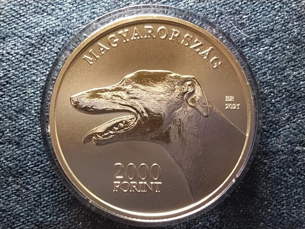 Magyar ag&aacute;r 2000 Forint
