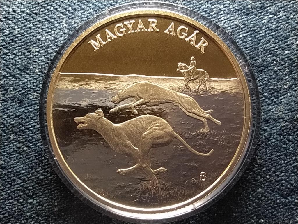 Magyar ag&aacute;r 2000 Forint