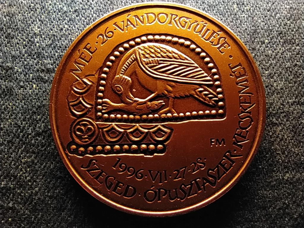 M&Eacute;E Szegedi Csoport 26. V&aacute;ndorgyűl&eacute;s Szeged-Kecskem&eacute;t