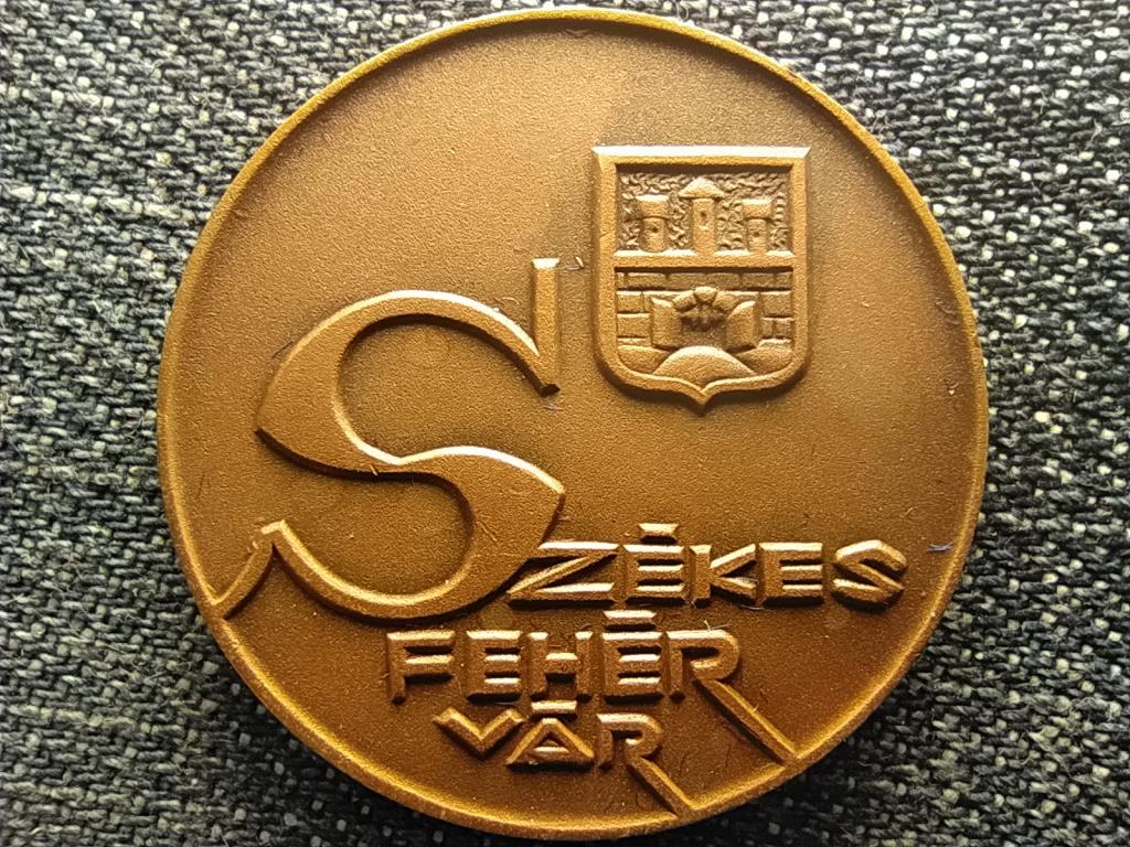 Magyar v&aacute;rosok bronz &eacute;rem Sz&eacute;kesfeh&eacute;rv&aacute;r, Szent Istv&aacute;n