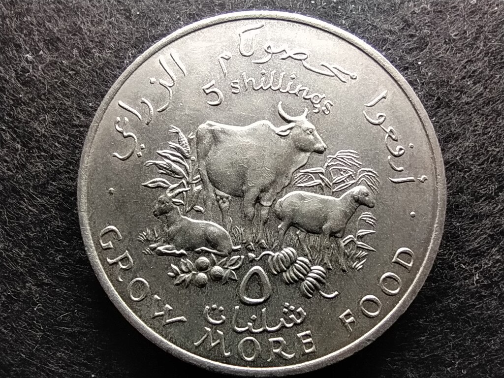 Szom&aacute;lia FAO 5 Shilling 1970