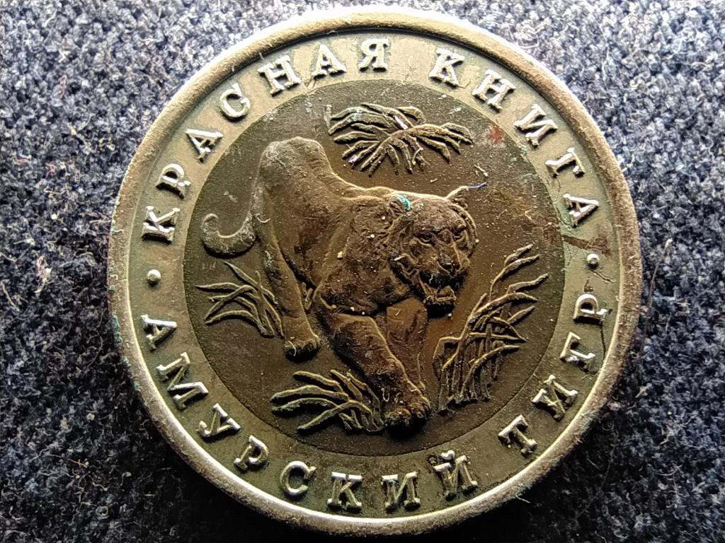 Szovjetuni&oacute; Szib&eacute;riai tigris 10 Rubel