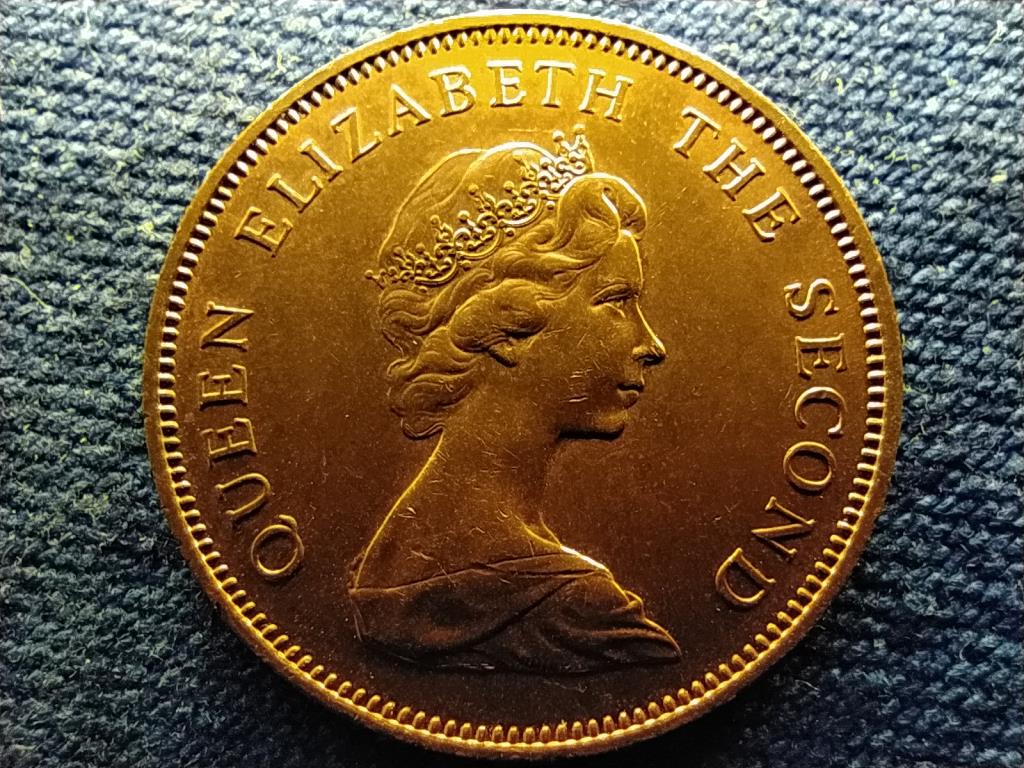 Falkland-szigetek II. Erzs&eacute;bet (1952-2022) 2 Penny