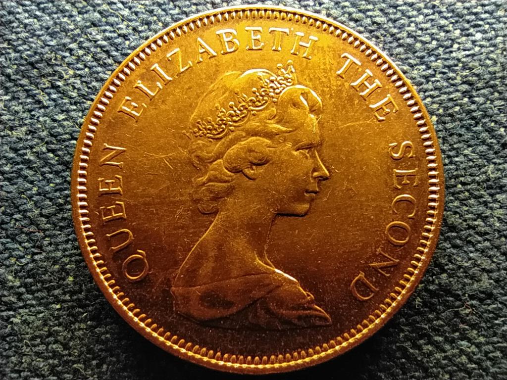Falkland-szigetek II. Erzs&eacute;bet (1952-2022) 2 Penny