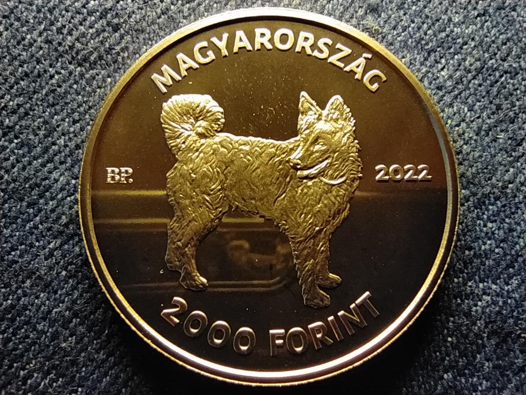 Mudi 2000 Forint