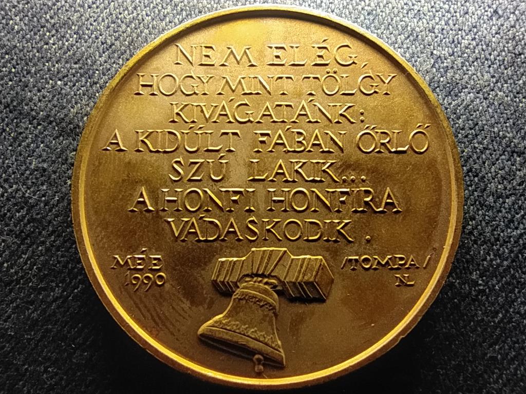 M&Eacute;E Kiskőr&ouml;si Csoport Petőfi &uacute;tja VII