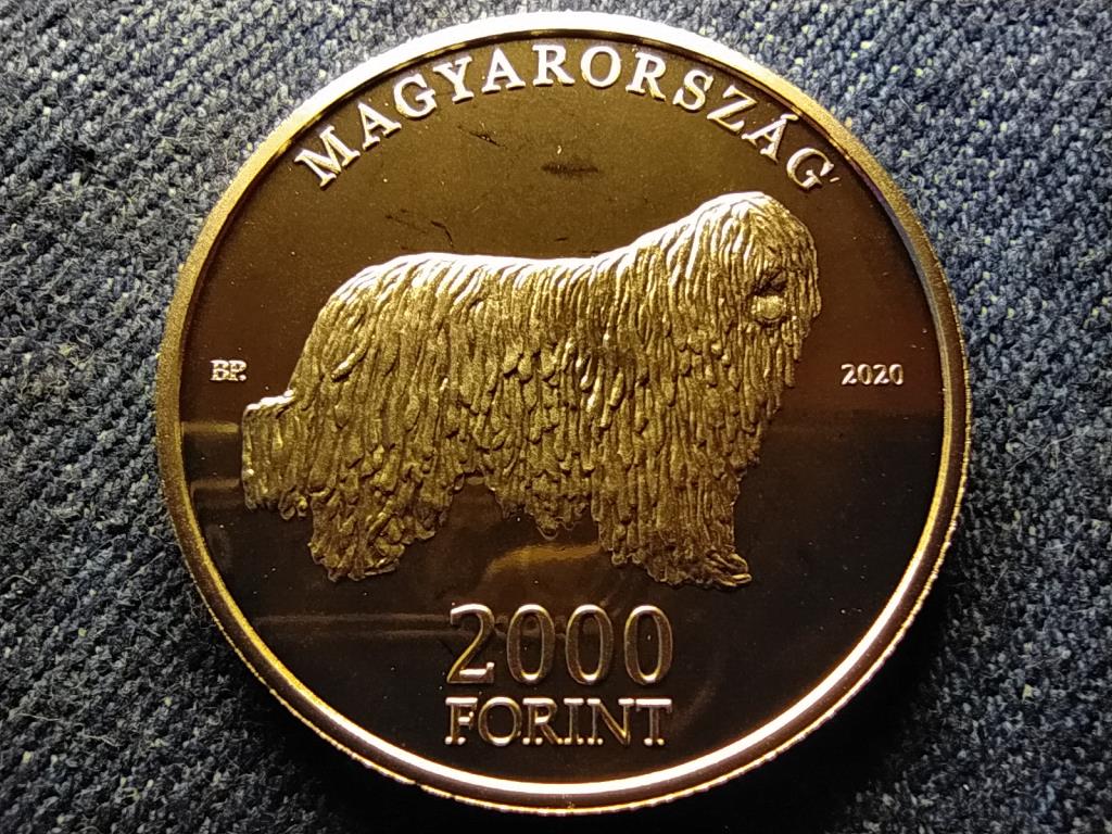 Komondor 2000 Forint
