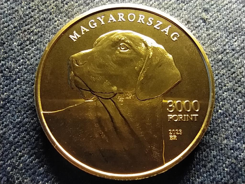 Magyarorsz&aacute;g Erd&eacute;lyi kop&oacute; 3000 Forint 