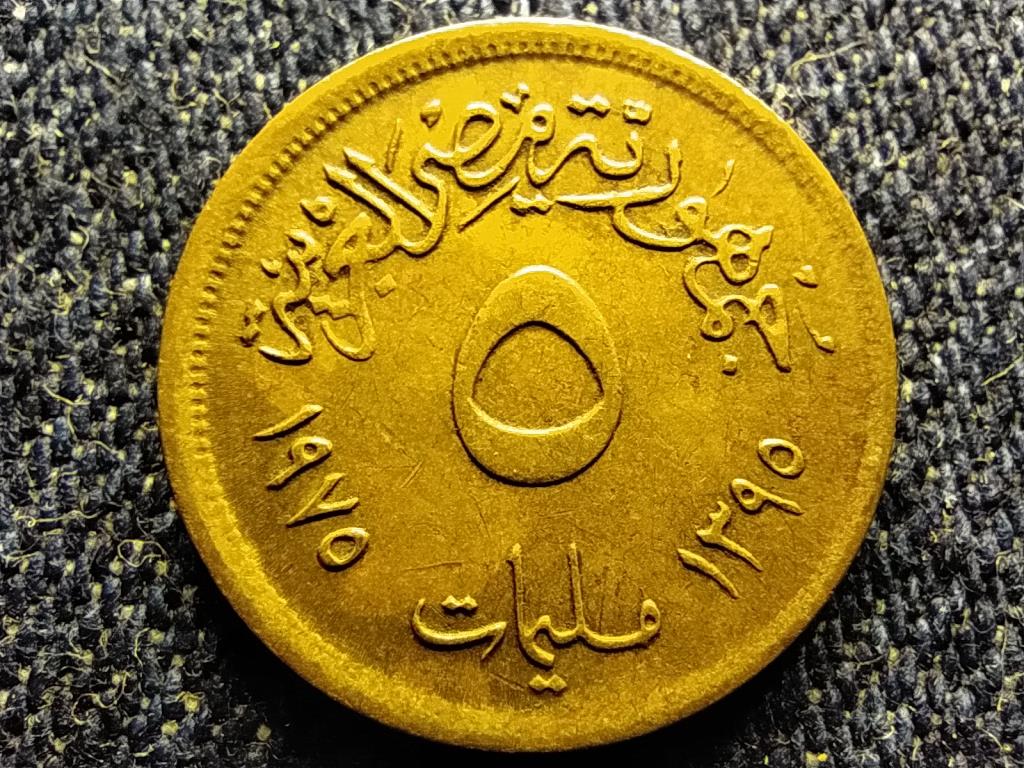 Egyiptom Nemzetk&ouml;zi Nők &Eacute;ve 5 Millieme 