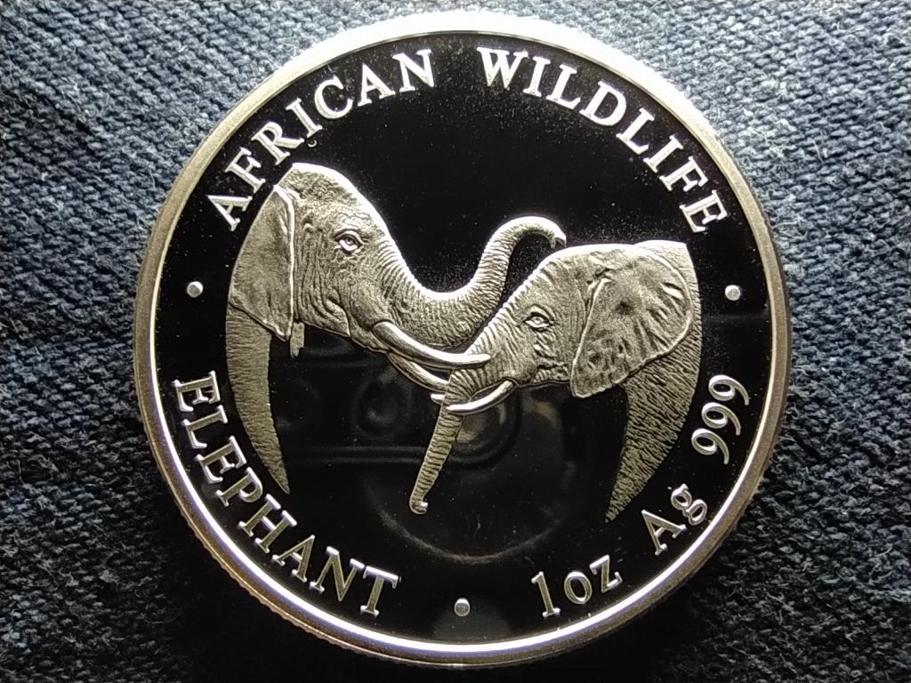 Zambia Afrikai vadvil&aacute;g Elef&aacute;nt .999 Ez&uuml;st 5000 Kwacha 