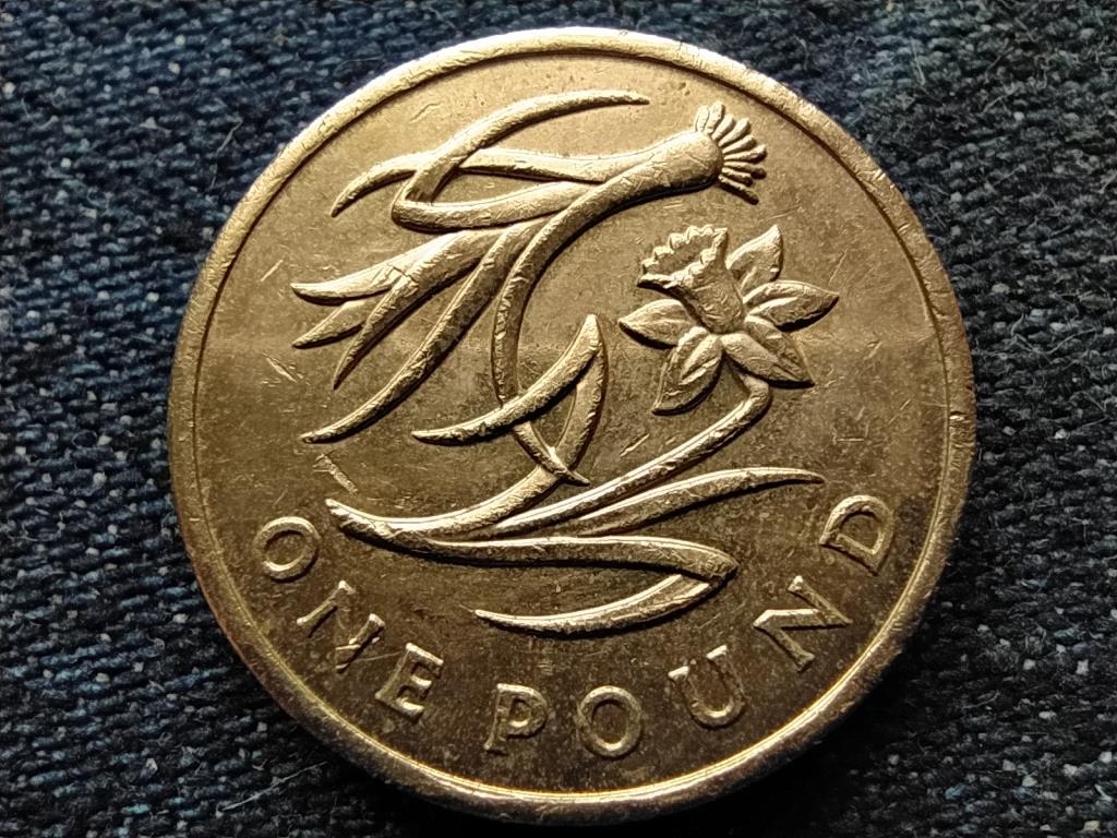 Anglia P&oacute;r&eacute;hagyma &eacute;s n&aacute;rcisz 1 Font 