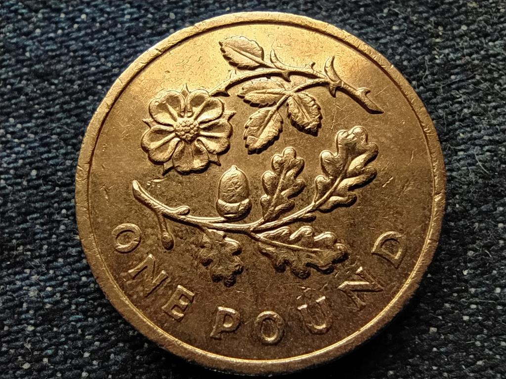 Anglia T&ouml;lgy &eacute;s R&oacute;zsa 1 Font 