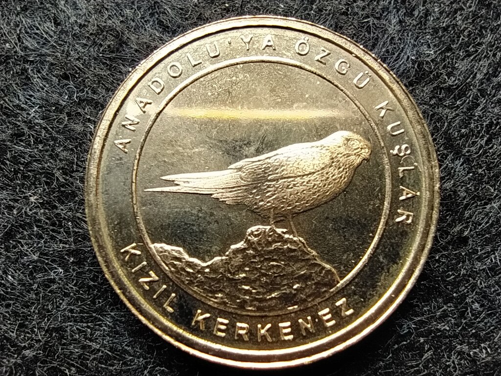 T&ouml;r&ouml;korsz&aacute;g Anat&oacute;lia madarai V&ouml;r&ouml;s v&eacute;rcse 1 Kurus 