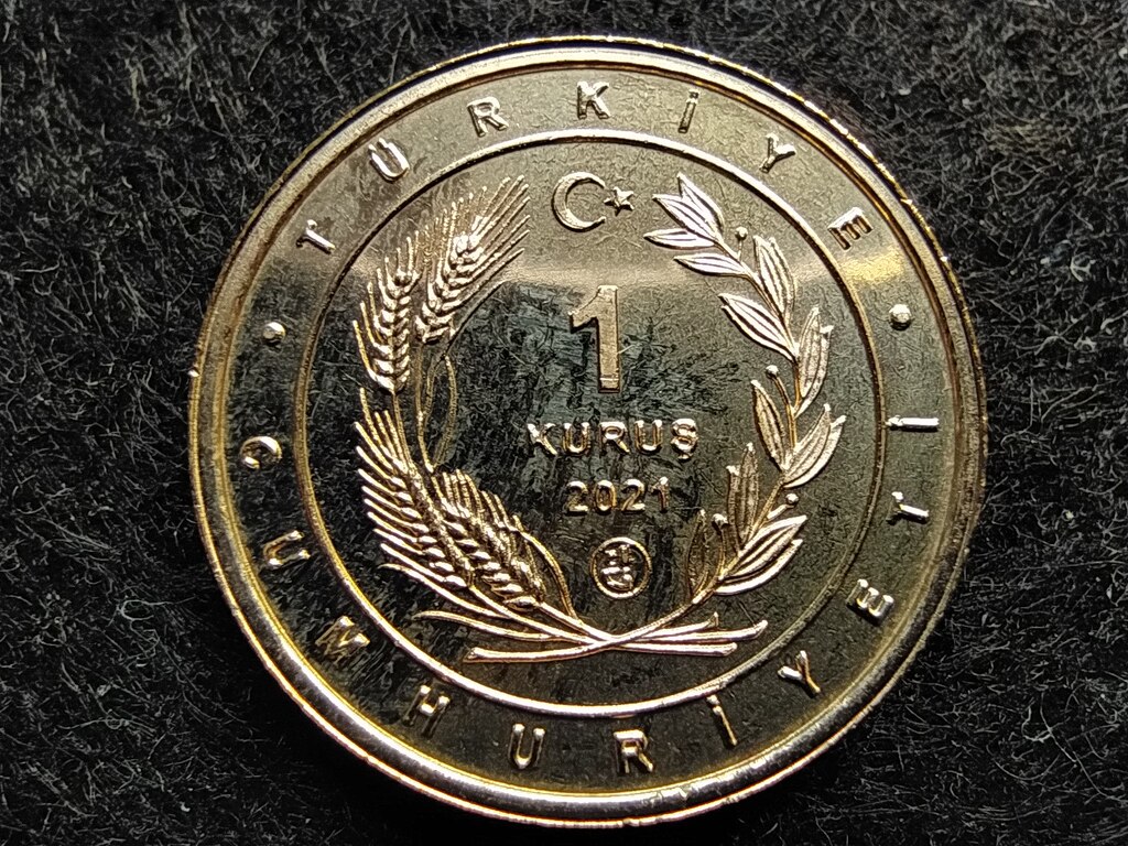 T&ouml;r&ouml;korsz&aacute;g Anat&oacute;lia madarai V&ouml;r&ouml;s v&eacute;rcse 1 Kurus 