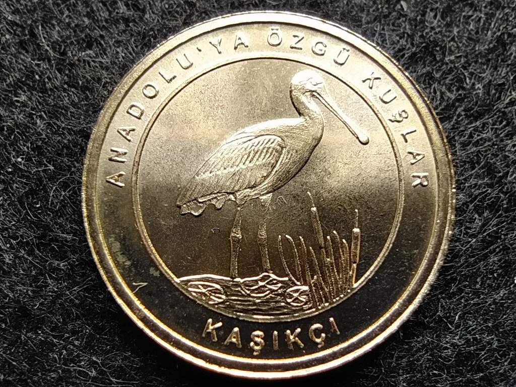T&ouml;r&ouml;korsz&aacute;g Anat&oacute;lia madarai Kanalasg&eacute;m 1 Kurus 