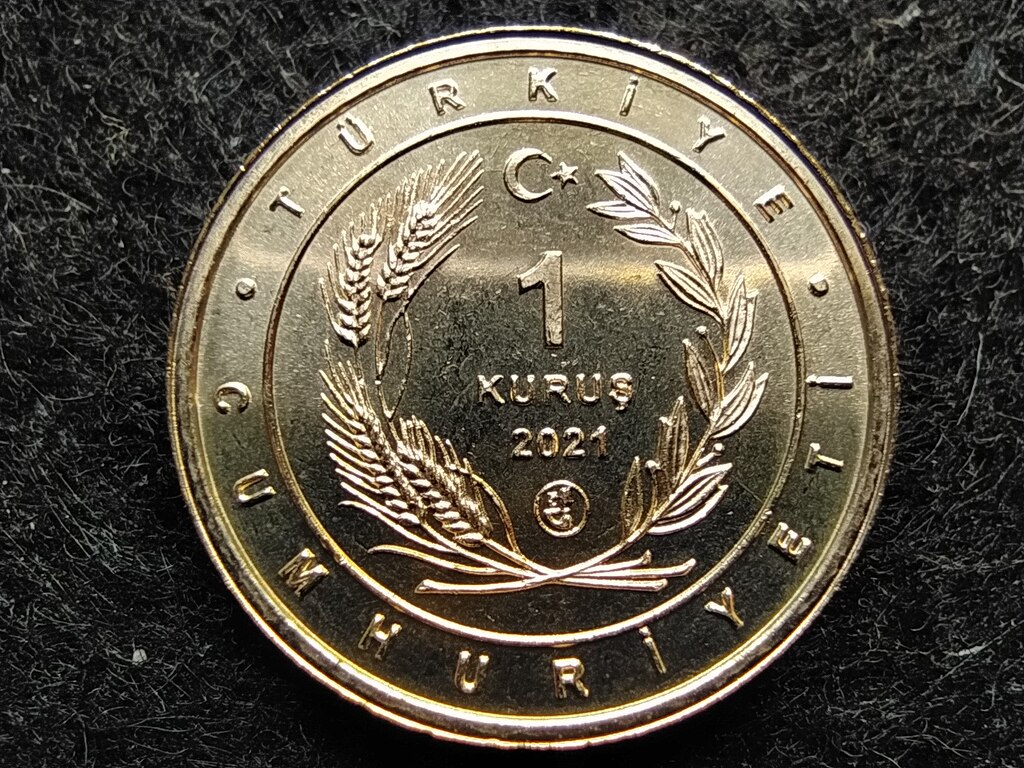 T&ouml;r&ouml;korsz&aacute;g Anat&oacute;lia madarai Kanalasg&eacute;m 1 Kurus 