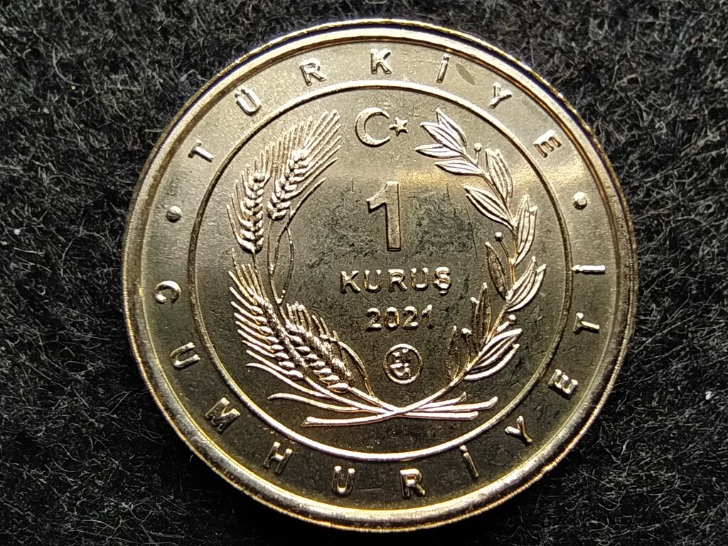 T&ouml;r&ouml;korsz&aacute;g Anat&oacute;lia madarai G&oacute;lyat&ouml;cs 1 Kurus 