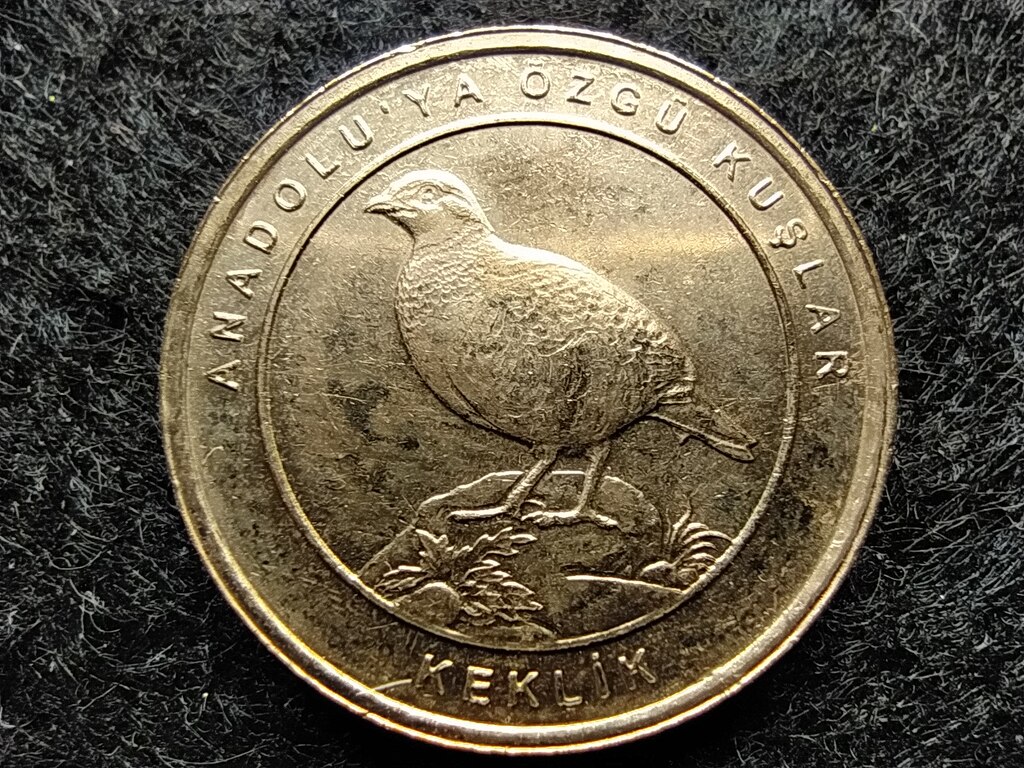 T&ouml;r&ouml;korsz&aacute;g Anat&oacute;lia madarai Csuk&aacute;r 1 Kurus 