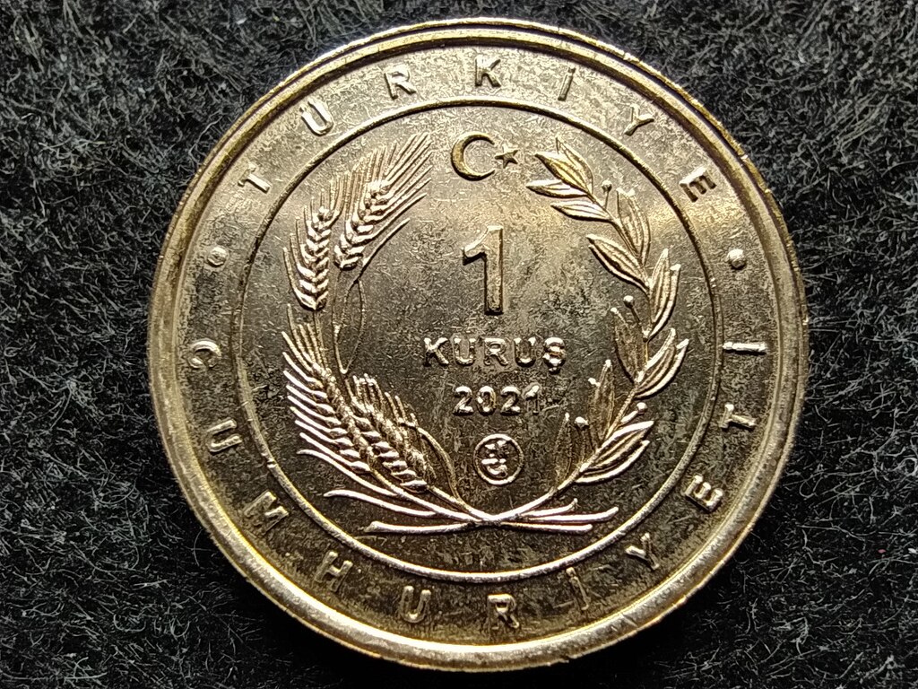 T&ouml;r&ouml;korsz&aacute;g Anat&oacute;lia madarai Csuk&aacute;r 1 Kurus 
