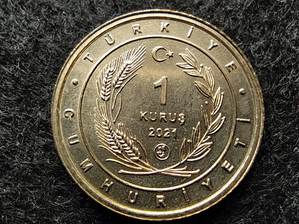 T&ouml;r&ouml;korsz&aacute;g Anat&oacute;lia madarai Fut&oacute;mad&aacute;r 1 Kurus 