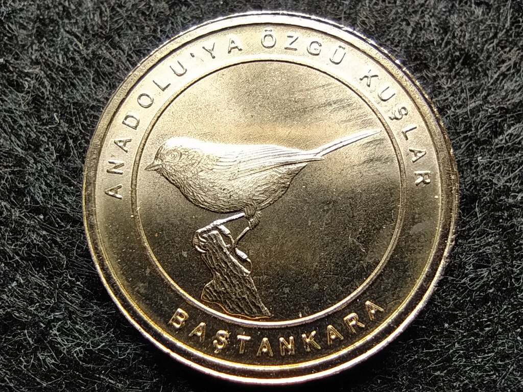 T&ouml;r&ouml;korsz&aacute;g Anat&oacute;lia madarai Tit 1 Kurus 
