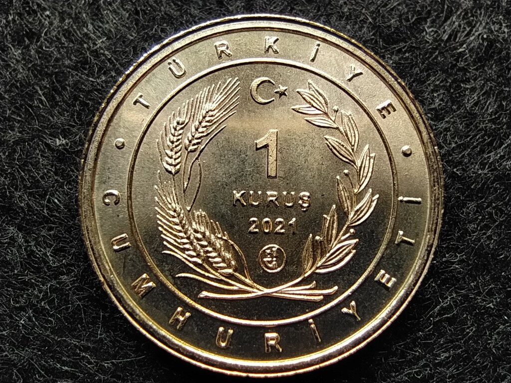 T&ouml;r&ouml;korsz&aacute;g Anat&oacute;lia madarai Tit 1 Kurus 