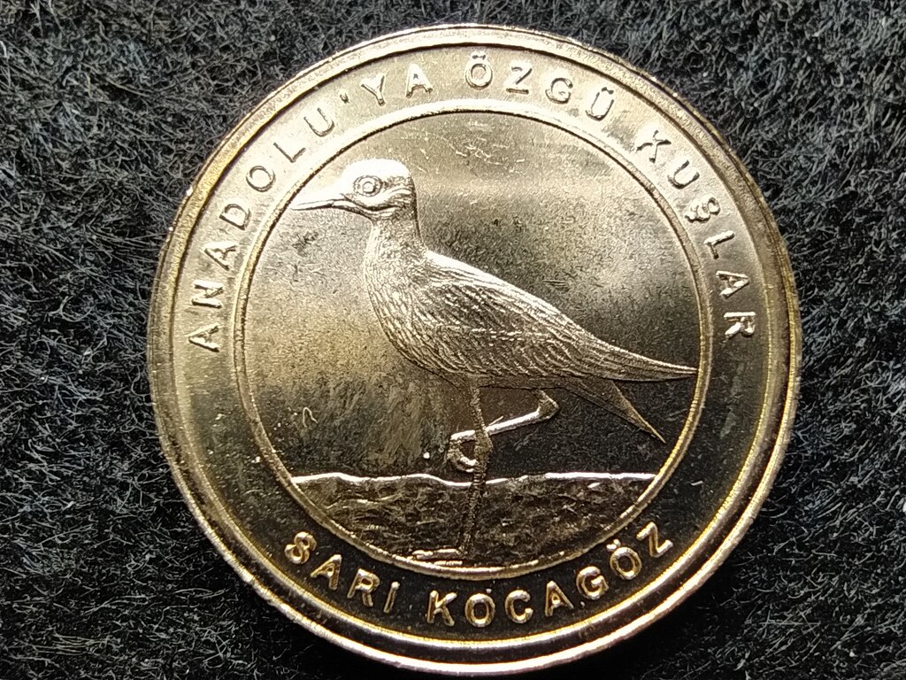 T&ouml;r&ouml;korsz&aacute;g Anat&oacute;lia madarai Ugarty&uacute;k 1 Kurus 