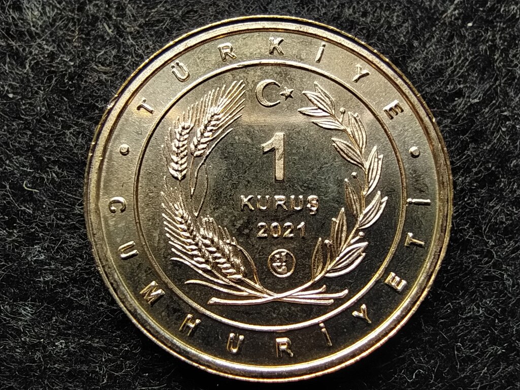 T&ouml;r&ouml;korsz&aacute;g Anat&oacute;lia madarai Ugarty&uacute;k 1 Kurus 