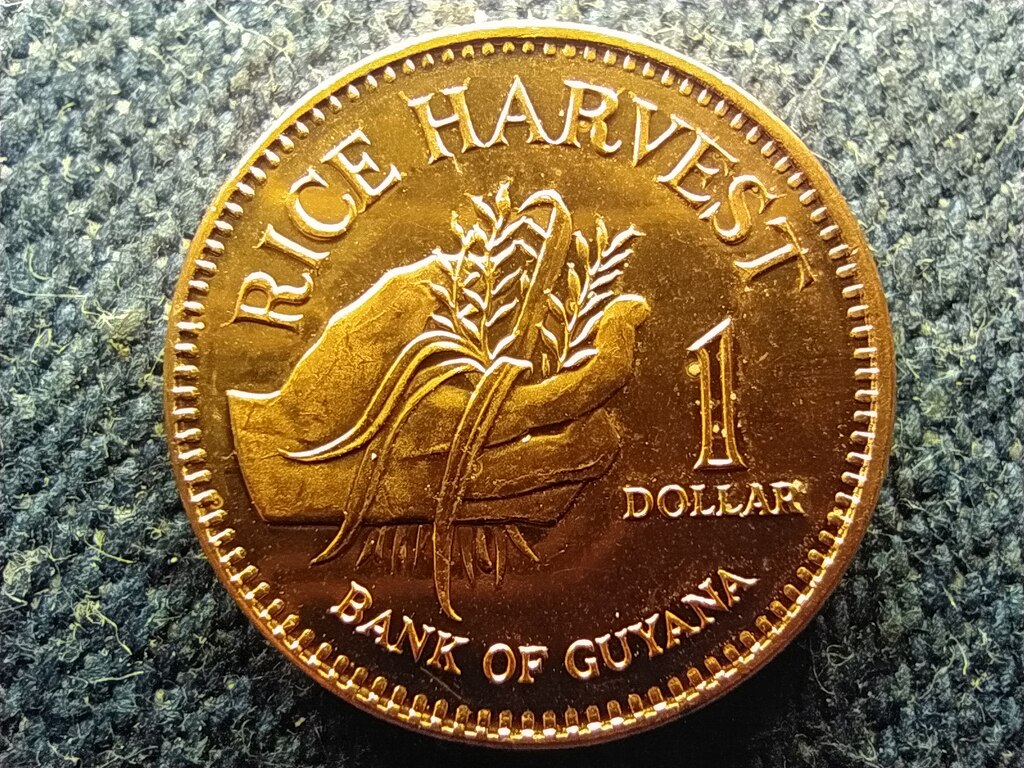 Guyana K&ouml;zt&aacute;rsas&aacute;g (1970-) 1 Doll&aacute;r 