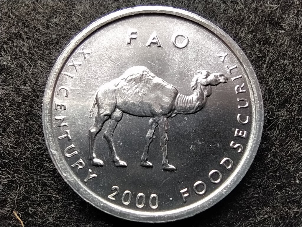 Szom&aacute;lia FAO 10 Shilling 