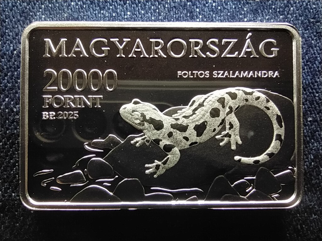 Magyarorsz&aacute;g Aggteleki Nemzeti Park .925 Ez&uuml;st 20000 Forint 