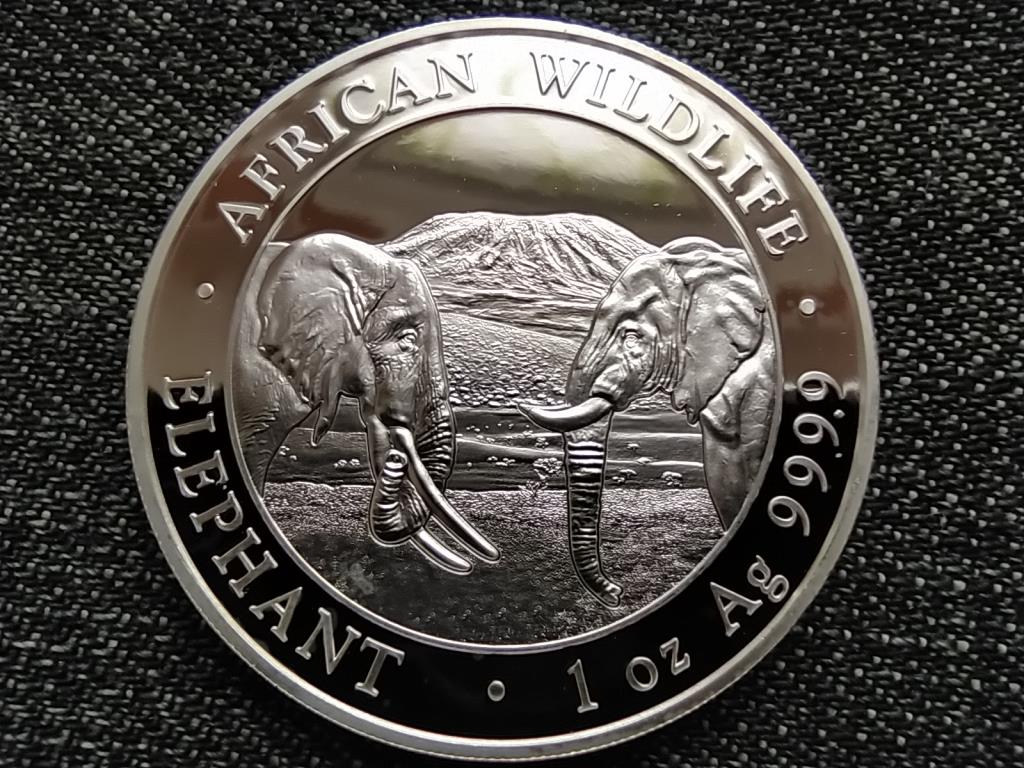 Szom&aacute;lia .999 ez&uuml;st 100 Shilling