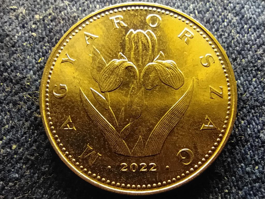 Magyarorsz&aacute;g Harmadik K&ouml;zt&aacute;rsas&aacute;g (1989-napjaink) 20 Forint 