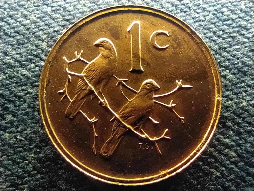D&eacute;l-Afrikai K&ouml;zt&aacute;rsas&aacute;g Fouch&eacute; eln&ouml;k1 Cent