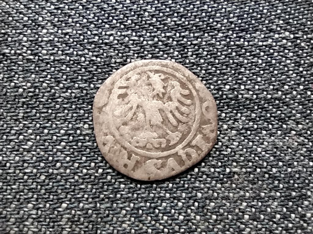 Lengyelorsz&aacute;g II. Lajos (1516-1526) ez&uuml;st 1/2 grosz