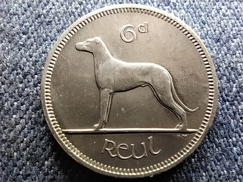 &Iacute;rorsz&aacute;g kutya 6 Pingin 1 reul
