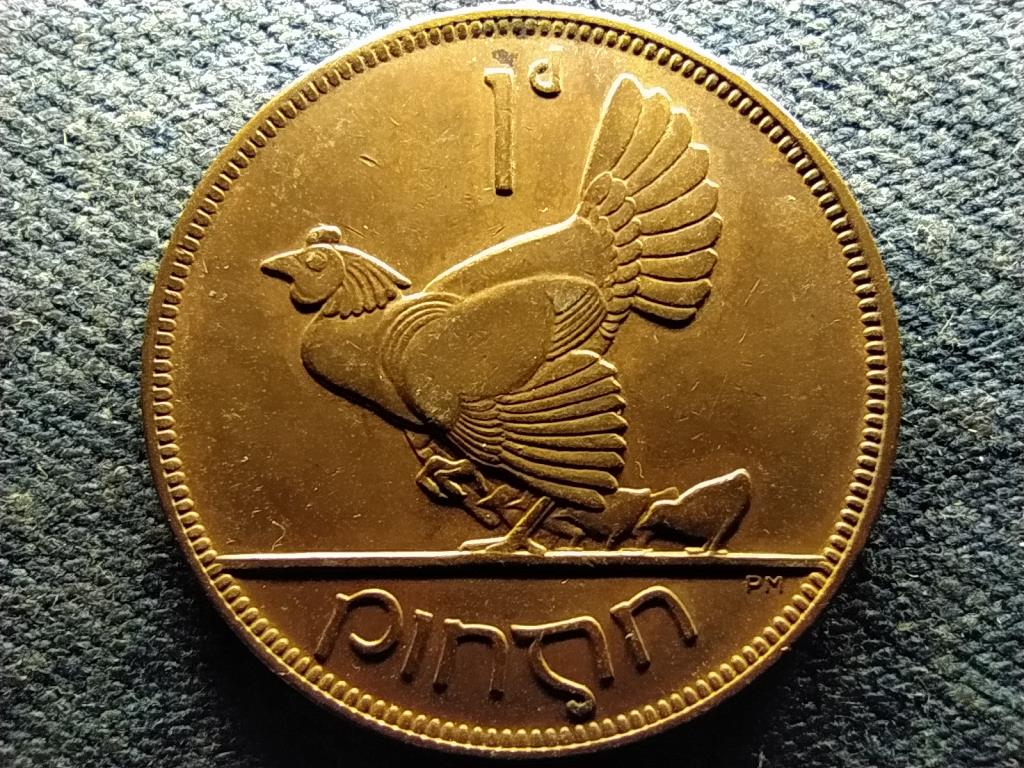 &Iacute;rorsz&aacute;g ty&uacute;k csib&eacute;kkel 1 Pingin