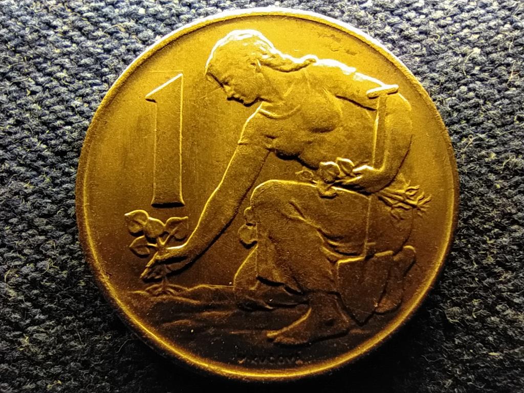 Csehszlov&aacute;kia Szocialista K&ouml;zt&aacute;rsas&aacute;g (1960-1990) 1 Korona