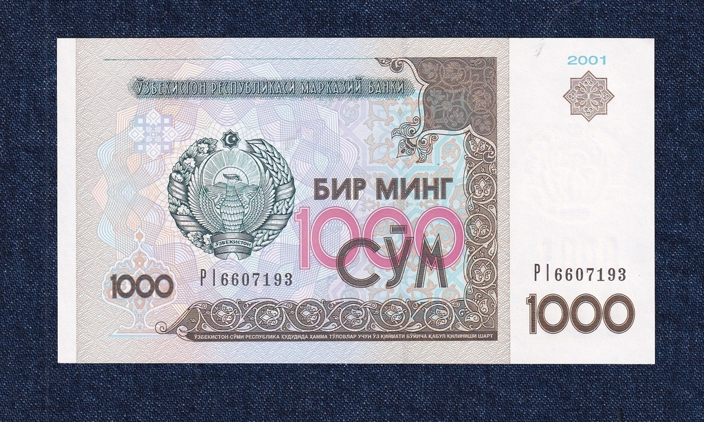 &Uuml;zbegiszt&aacute;n 1000 som bankjegy