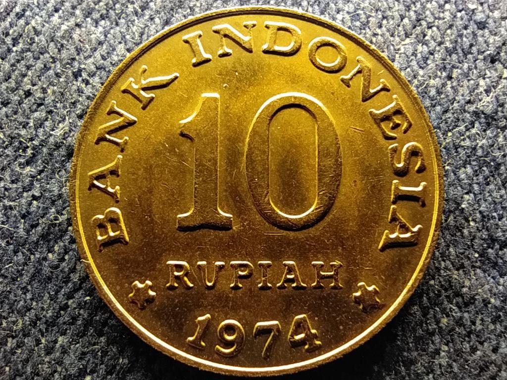 Indon&eacute;zia FAO - Nemzeti Megtakar&iacute;t&aacute;si Program 10 r&uacute;pia