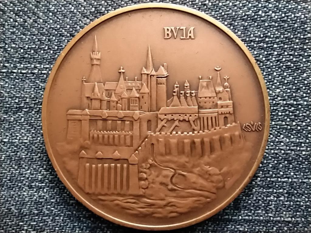 M&Eacute;E Budapesti Csoport M&aacute;ty&aacute;s kir&aacute;ly