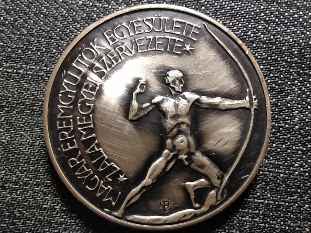 M&Eacute;E Zalaegerszegi Csoport Kisfaludi Str&oacute;bl Zsigmond