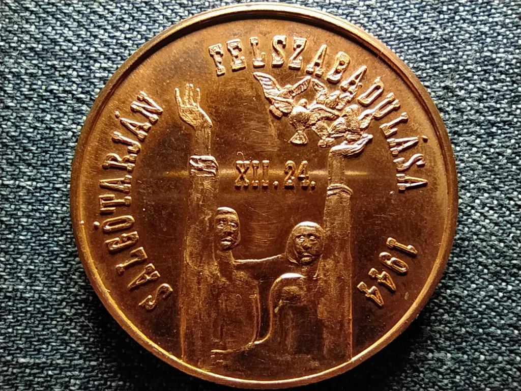 M&Eacute;E Salg&oacute;tarj&aacute;ni Csoport Salg&oacute;tarj&aacute;n felszabadul&aacute;s&aacute;nak 40. &eacute;vfordul&oacute;ja