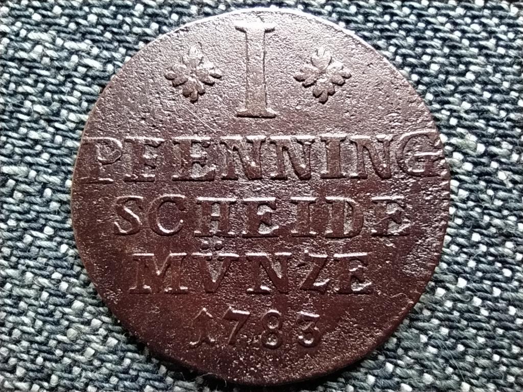 Brunswick-Wolfenb&uuml;ttel fejedelems&eacute;g I. K&aacute;roly ez&uuml;st 1 pfennig