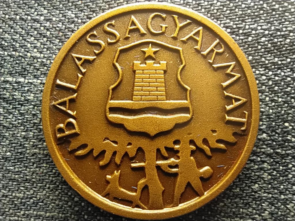 M&Eacute;E Salg&oacute;tarj&aacute;ni Csoport Balassagyarmat V&aacute;ros&eacute;rem