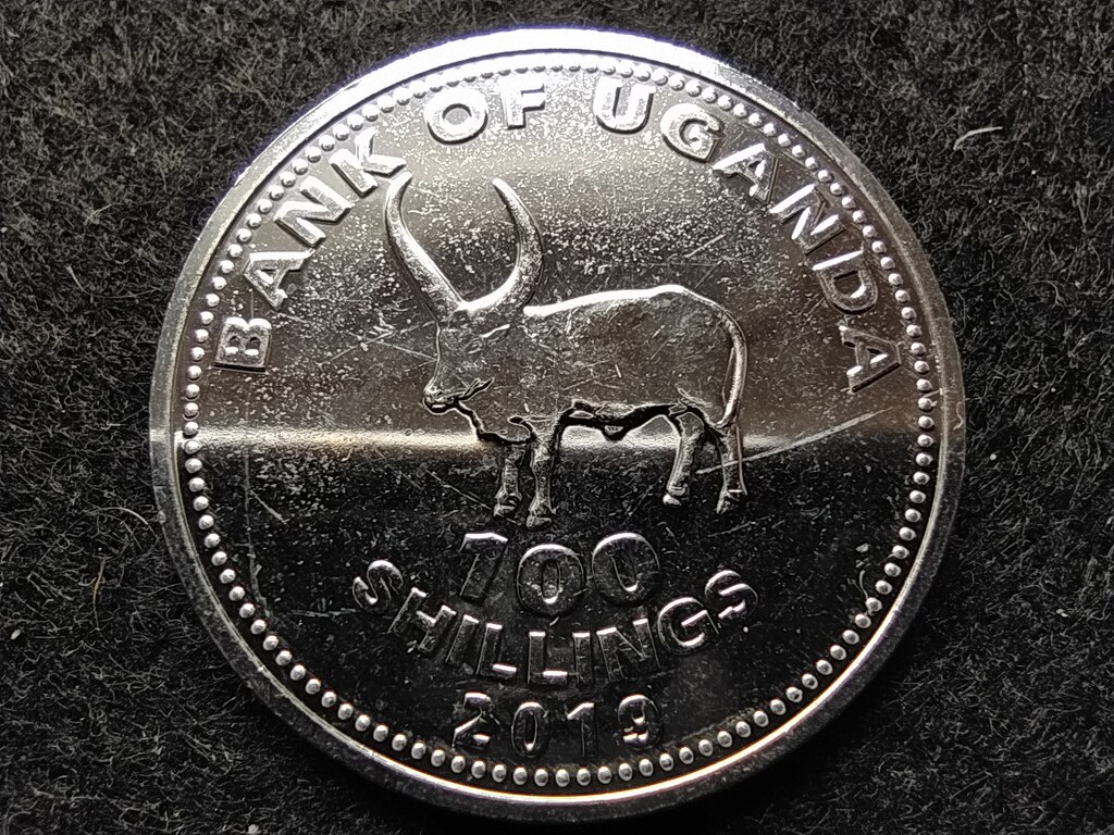 Uganda afrikai bika 100 shilling